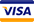 Visa payment method icon